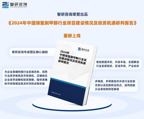2024版中國綠氫制甲醇行業市場概況分析及投資前景分析報告